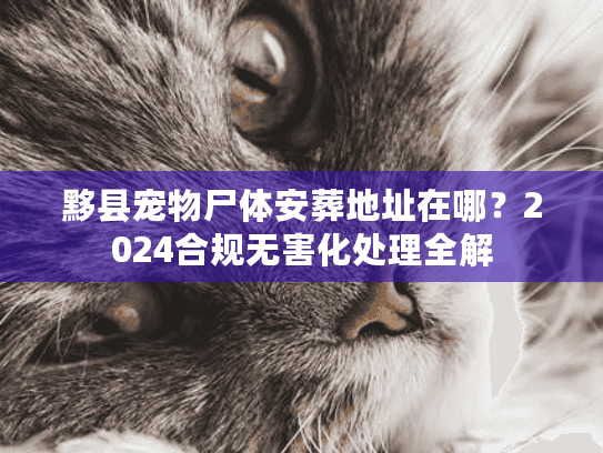 黟县宠物尸体安葬地址在哪？2024合规无害化处理全解