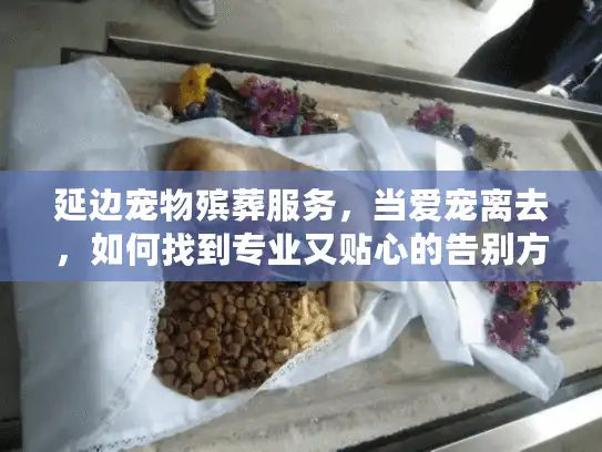 延边宠物殡葬服务，当爱宠离去，如何找到专业又贴心的告别方案？