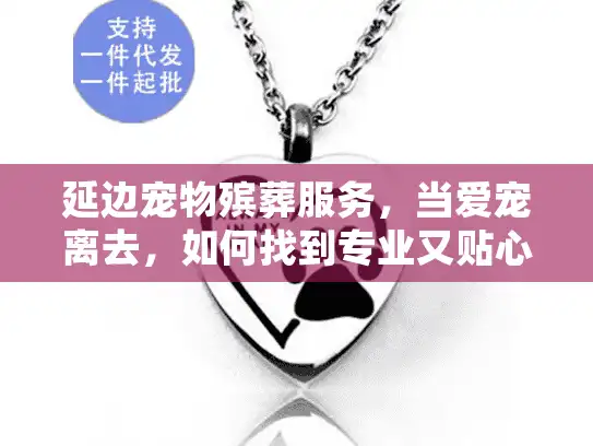延边宠物殡葬服务，当爱宠离去，如何找到专业又贴心的告别方案？