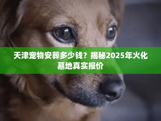 天津宠物安葬多少钱？揭秘2025年火化墓地真实报价