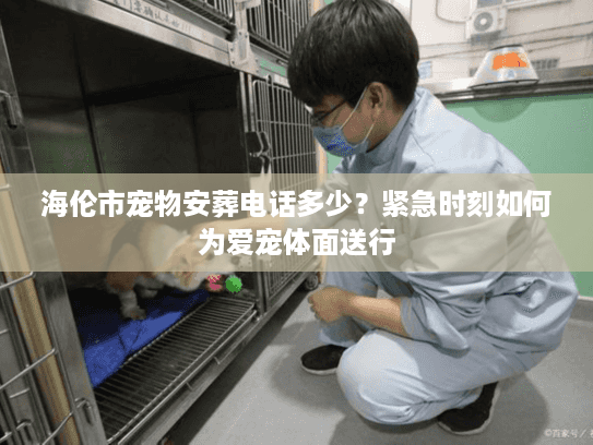 海伦市宠物安葬电话多少？紧急时刻如何为爱宠体面送行