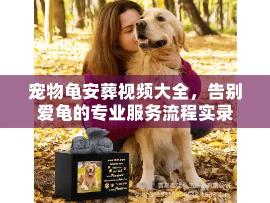 宠物龟安葬视频大全,告别爱龟的专业服务流程实录 宠物龟安葬视频大全,告别爱龟的专业服务流程实录