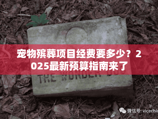 宠物殡葬项目经费要多少？2025最新预算指南来了