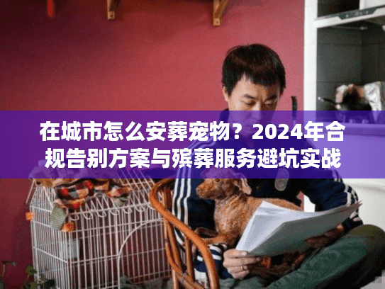 在城市怎么安葬宠物？2024年合规告别方案与殡葬服务避坑实战