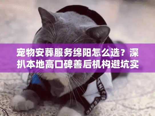 宠物安葬服务绵阳怎么选？深扒本地高口碑善后机构避坑实况