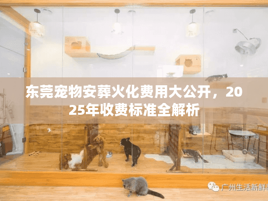 东莞宠物安葬火化费用大公开，2025年收费标准全解析