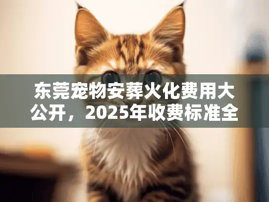 东莞宠物安葬火化费用大公开，2025年收费标准全解析