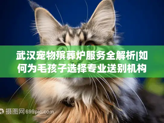 武汉宠物殡葬炉服务全解析|如何为毛孩子选择专业送别机构?