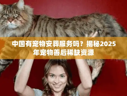 中国有宠物安葬服务吗？揭秘2025年宠物善后稀缺资源