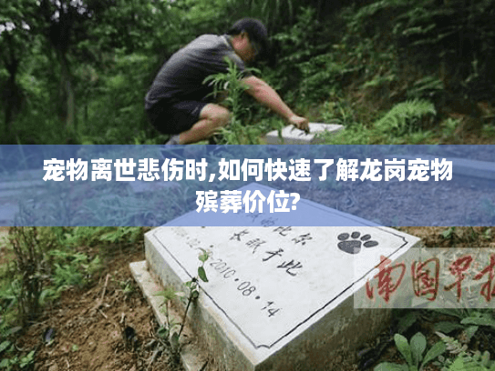 宠物离世悲伤时,如何快速了解龙岗宠物殡葬价位? 宠物离世悲伤时,如何快速了解龙岗宠物殡葬价位?