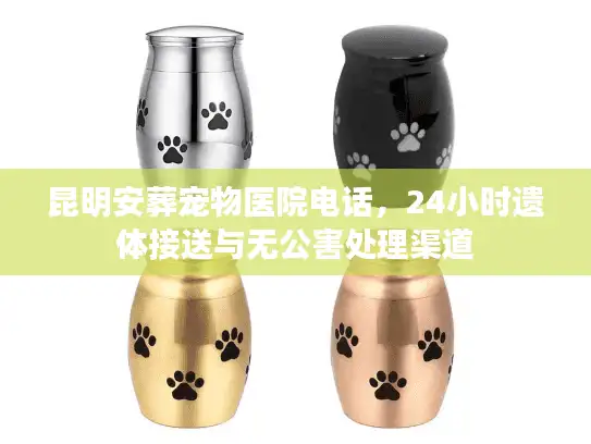 昆明安葬宠物医院电话，24小时遗体接送与无公害处理渠道