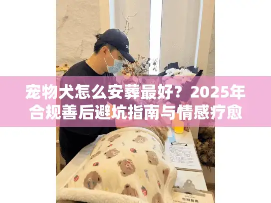 宠物犬怎么安葬最好？2025年合规善后避坑指南与情感疗愈方案