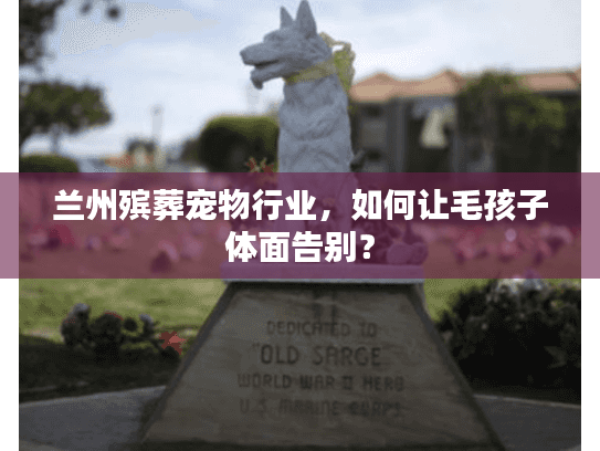 兰州殡葬宠物行业，如何让毛孩子体面告别？