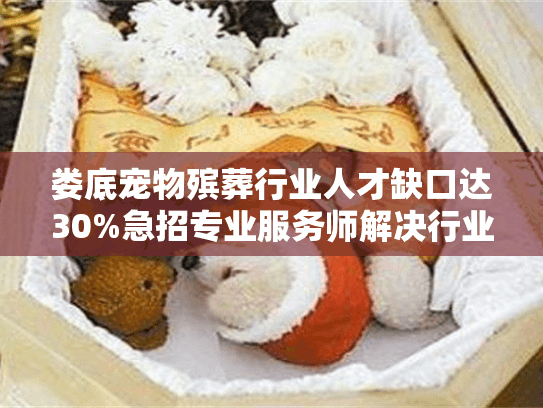 娄底宠物殡葬行业人才缺口达30%急招专业服务师解决行业困境