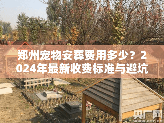 郑州宠物安葬费用多少?2024年最新收费标准与避坑实录 郑州宠物安葬费用多少?2024年最新收费标准与避坑实录