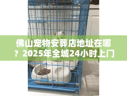 佛山宠物安葬店地址在哪？2025年全城24小时上门接宠实探