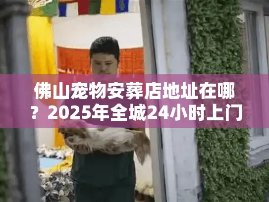 佛山宠物安葬店地址在哪？2025年全城24小时上门接宠实探