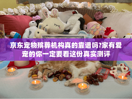 京东宠物殡葬机构真的靠谱吗?家有爱宠的你一定要看这份真实测评 京东宠物殡葬机构真的靠谱吗?家有爱宠的你一定要看这份真实测评