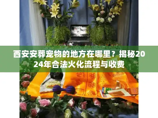 西安安葬宠物的地方在哪里?揭秘2024年合法火化流程与收费 西安安葬宠物的地方在哪里?揭秘2024年合法火化流程与收费