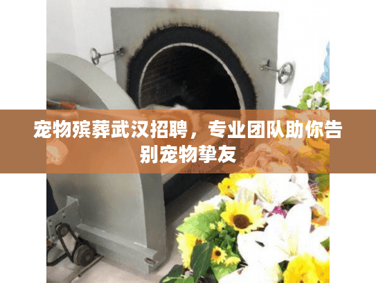 宠物殡葬武汉招聘，专业团队助你告别宠物挚友