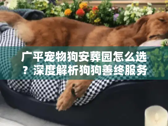 广平宠物狗安葬园怎么选？深度解析狗狗善终服务与避坑门道
