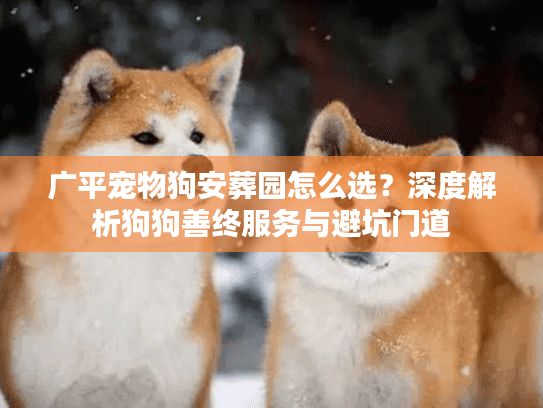 广平宠物狗安葬园怎么选？深度解析狗狗善终服务与避坑门道