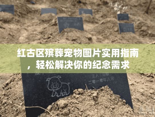 红古区殡葬宠物图片实用指南，轻松解决你的纪念需求