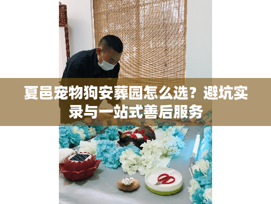 夏邑宠物狗安葬园怎么选？避坑实录与一站式善后服务