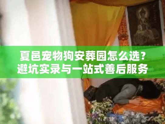 夏邑宠物狗安葬园怎么选？避坑实录与一站式善后服务