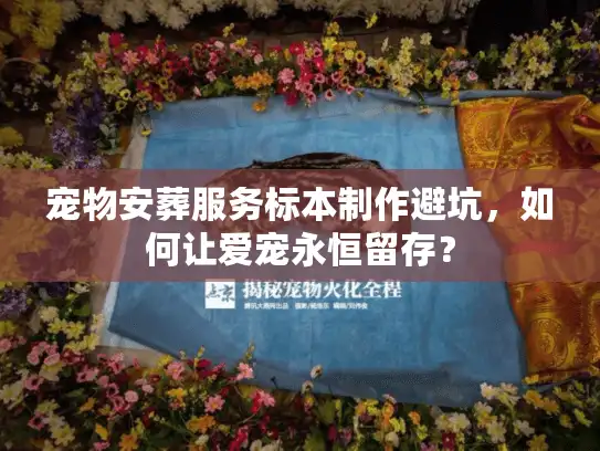 宠物安葬服务标本制作避坑,如何让爱宠永恒留存? 宠物安葬服务标本制作避坑,如何让爱宠永恒留存?