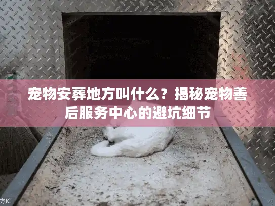 宠物安葬地方叫什么?揭秘宠物善后服务中心的避坑细节 宠物安葬地方叫什么?揭秘宠物善后服务中心的避坑细节
