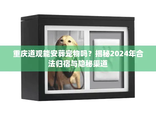 重庆道观能安葬宠物吗？揭秘2024年合法归宿与隐秘渠道