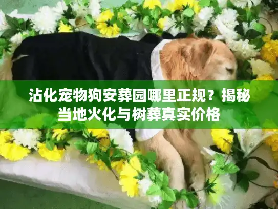沾化宠物狗安葬园哪里正规?揭秘当地火化与树葬真实价格 沾化宠物狗安葬园哪里正规?揭秘当地火化与树葬真实价格