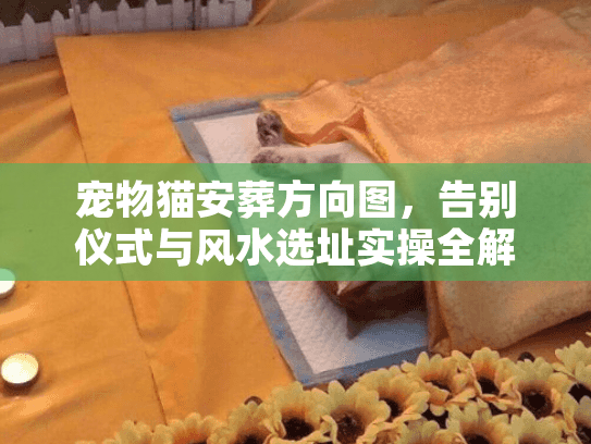 宠物猫安葬方向图,告别仪式与风水选址实操全解 宠物猫安葬方向图,告别仪式与风水选址实操全解