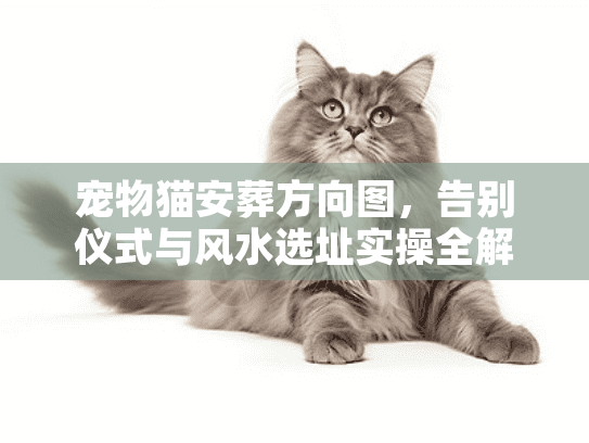 宠物猫安葬方向图,告别仪式与风水选址实操全解 宠物猫安葬方向图,告别仪式与风水选址实操全解
