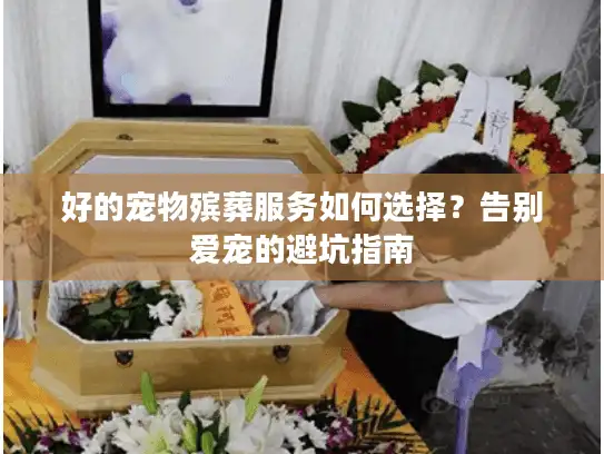好的宠物殡葬服务如何选择？告别爱宠的避坑指南