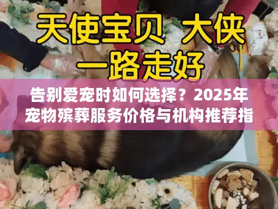 告别爱宠时如何选择?2025年宠物殡葬服务价格与机构推荐指南 告别爱宠时如何选择?2025年宠物殡葬服务价格与机构推荐指南