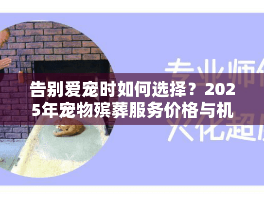 告别爱宠时如何选择?2025年宠物殡葬服务价格与机构推荐指南 告别爱宠时如何选择?2025年宠物殡葬服务价格与机构推荐指南