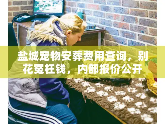 盐城宠物安葬费用查询，别花冤枉钱，内部报价公开
