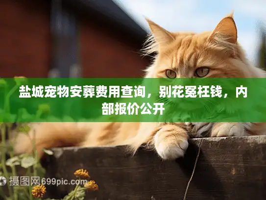 盐城宠物安葬费用查询，别花冤枉钱，内部报价公开