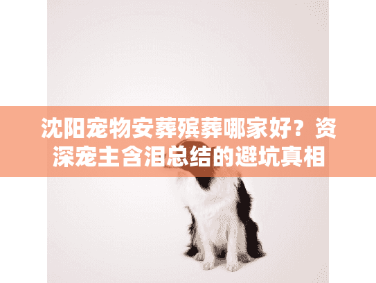 沈阳宠物安葬殡葬哪家好？资深宠主含泪总结的避坑真相