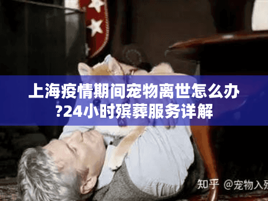 上海疫情期间宠物离世怎么办?24小时殡葬服务详解