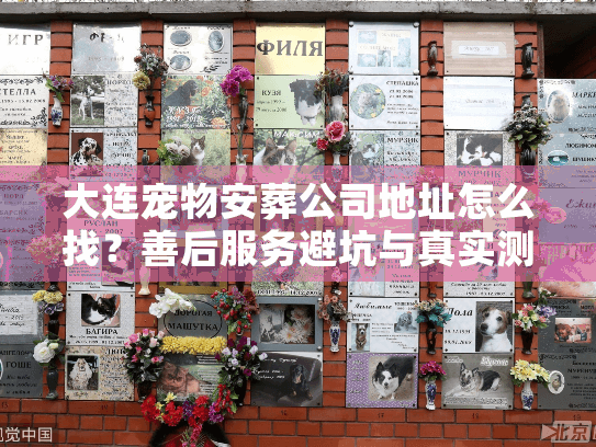 大连宠物安葬公司地址怎么找?善后服务避坑与真实测评 大连宠物安葬公司地址怎么找?善后服务避坑与真实测评