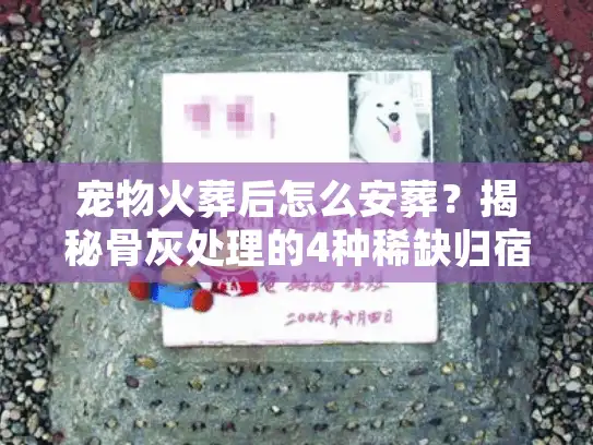 宠物火葬后怎么安葬？揭秘骨灰处理的4种稀缺归宿