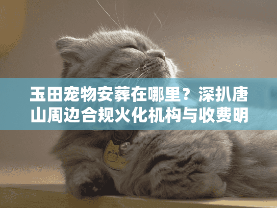 玉田宠物安葬在哪里?深扒唐山周边合规火化机构与收费明细 玉田宠物安葬在哪里?深扒唐山周边合规火化机构与收费明细