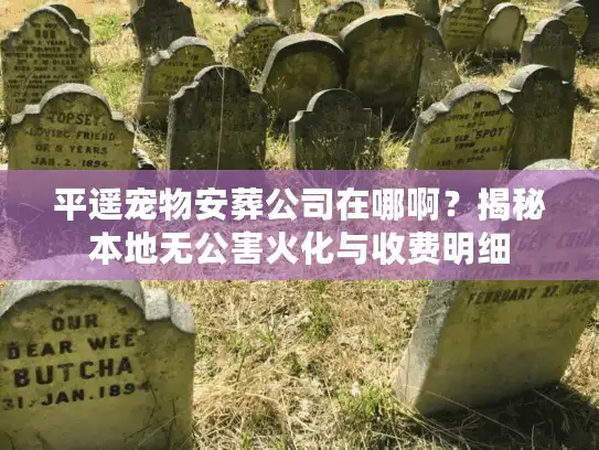平遥宠物安葬公司在哪啊？揭秘本地无公害火化与收费明细