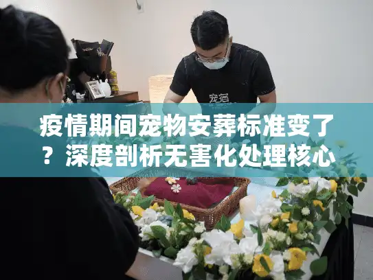 疫情期间宠物安葬标准变了？深度剖析无害化处理核心门道