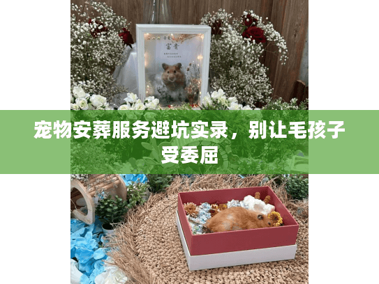 宠物安葬服务避坑实录,别让毛孩子受委屈 宠物安葬服务避坑实录,别让毛孩子受委屈