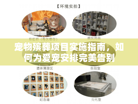 宠物殡葬项目实施指南，如何为爱宠安排完美告别