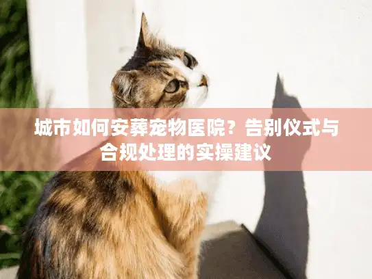 城市如何安葬宠物医院？告别仪式与合规处理的实操建议